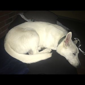 Meet your Posher, Zach